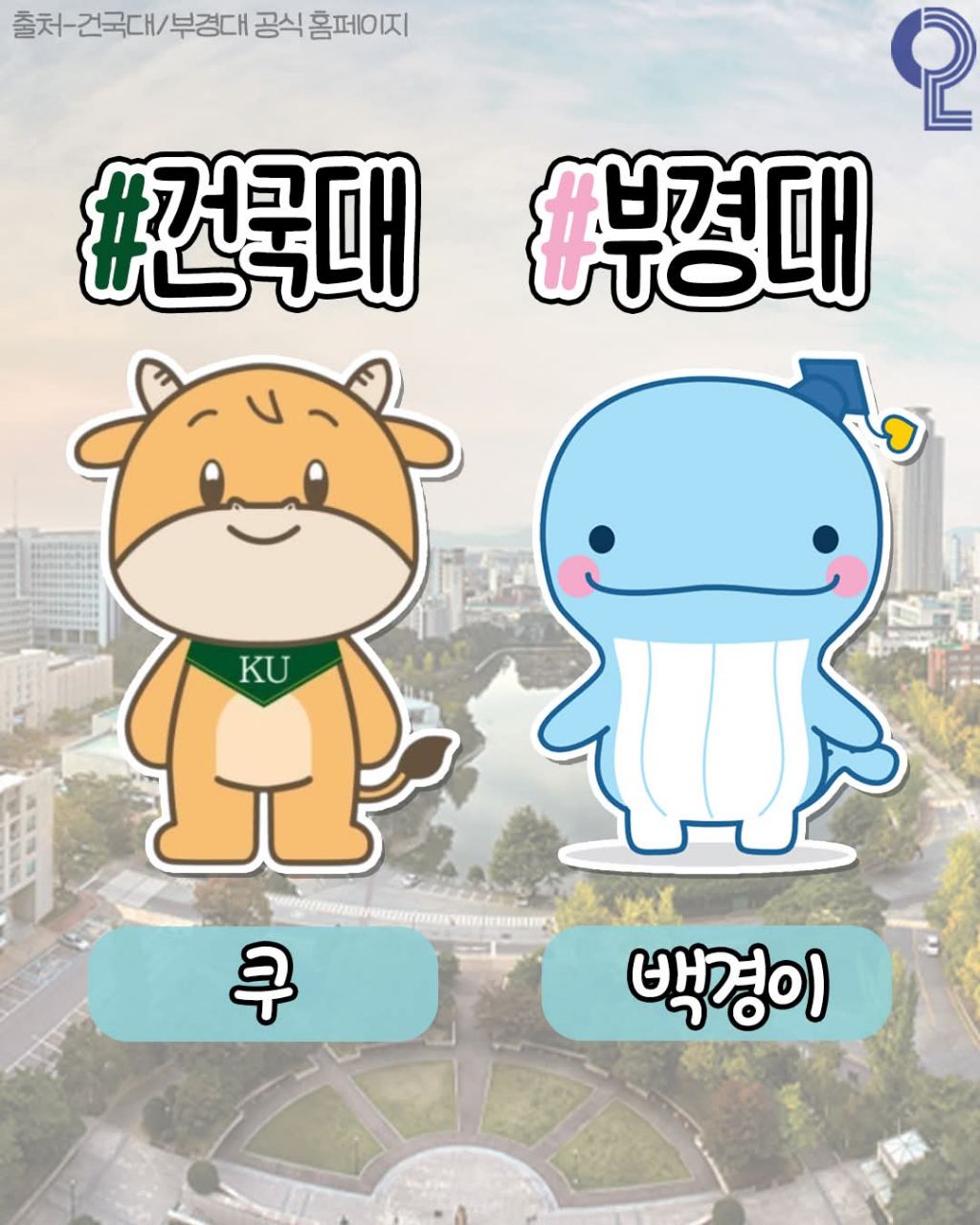 전국 대학별 마스코트 모음 | 인스티즈