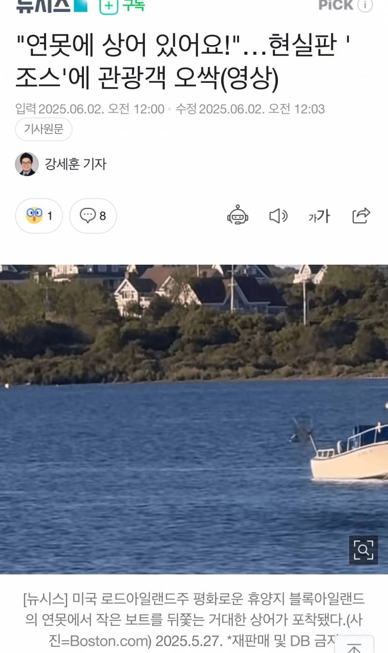 6m 상어출몰 ㅎㄷㄷ