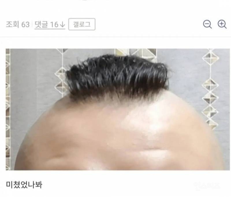 망한 머리 모음 | 인스티즈