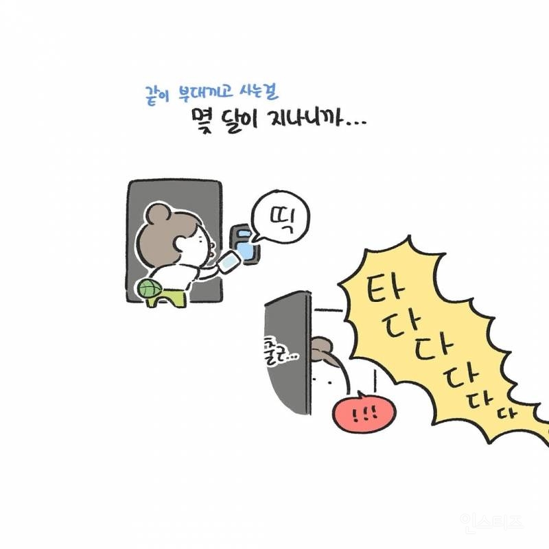 강아지를 1년만에 만났을때(강아지 사진 有) | 인스티즈