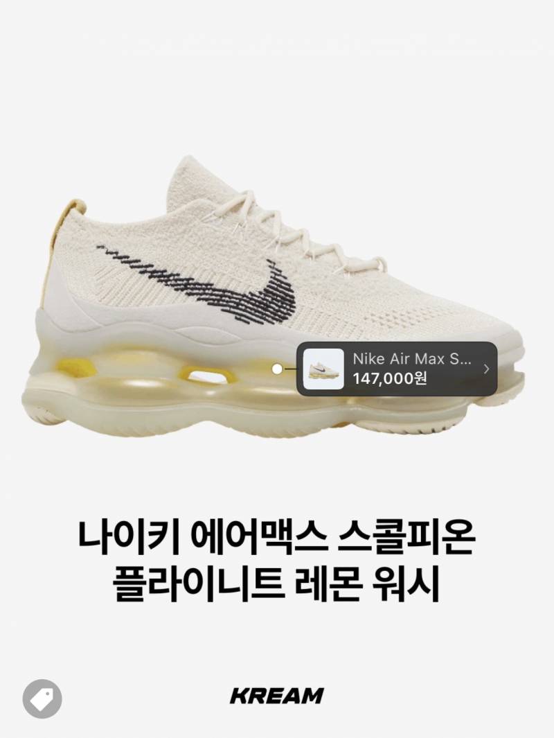 스탠딩에 신고 가면 눈초리 받는다는 신발.JPG | 인스티즈