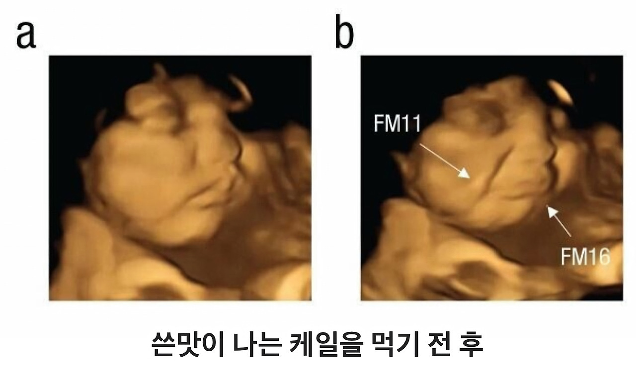 음식 먹었을 때 뱃속의 아기 표정 | 인스티즈