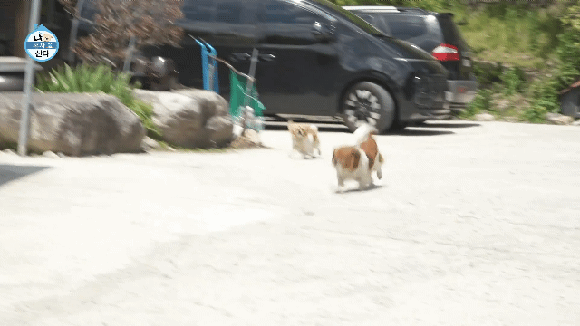 [나혼자산다] 10년 넘게 단골이라는 강원도 능이백숙집 찾아간 샤이니 키 | 인스티즈