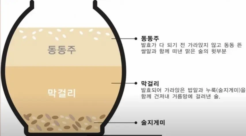 막걸리와 동동주의 차이.jpg | 인스티즈