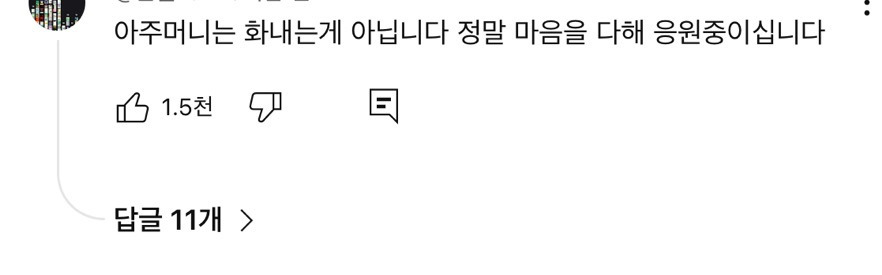 대구할머니 : 민주당 정신 좀 차려 정신좀 똑바로 하라고!!!!! | 인스티즈