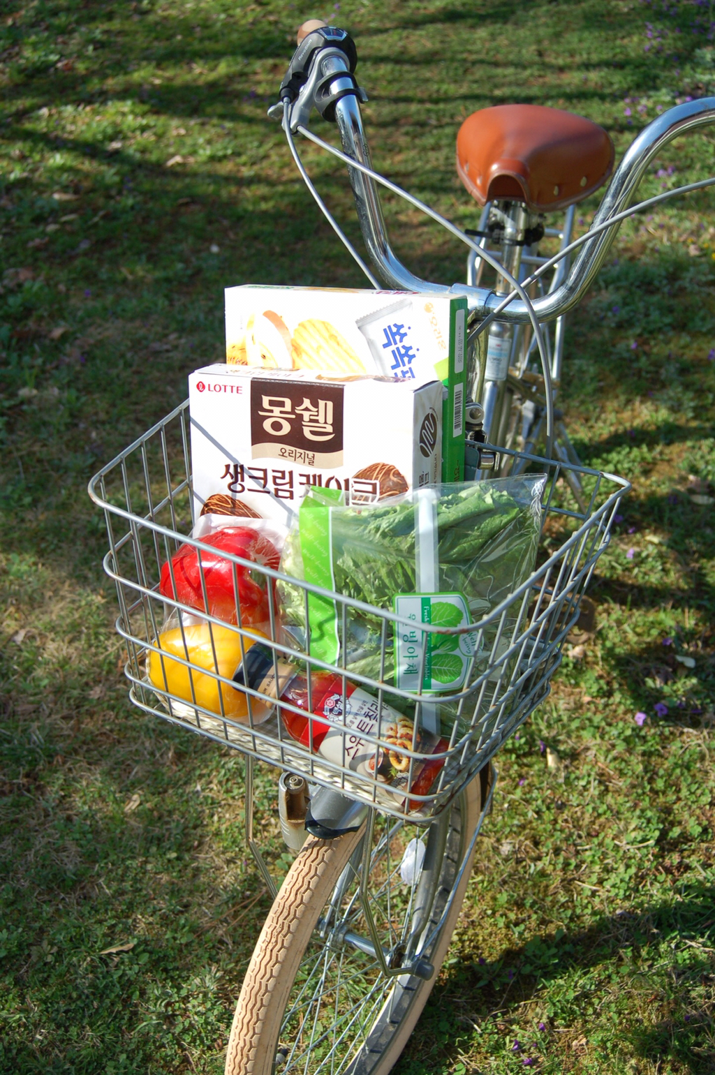 반년동안 모은 자전거 바구니 사진 🚲✨🌿 | 인스티즈