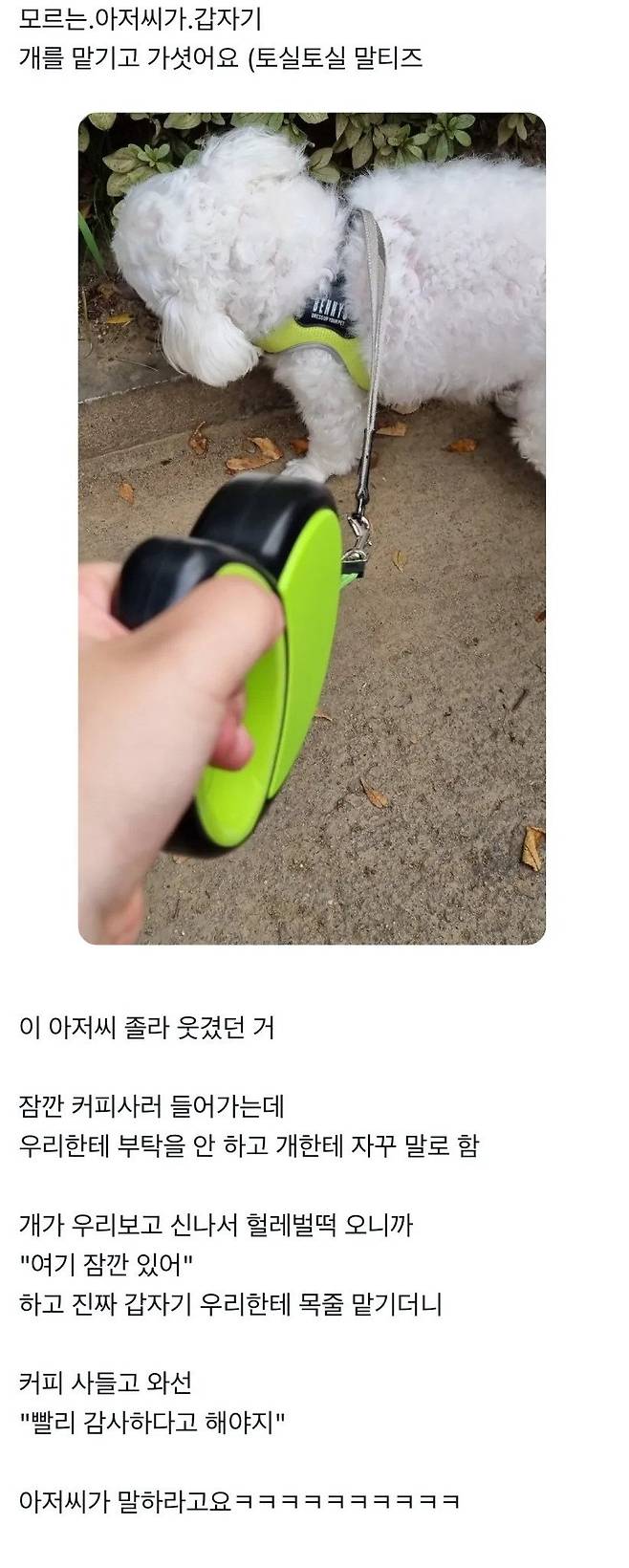어떤 아저씨가 길에서 개 맡기고감.jpg | 인스티즈