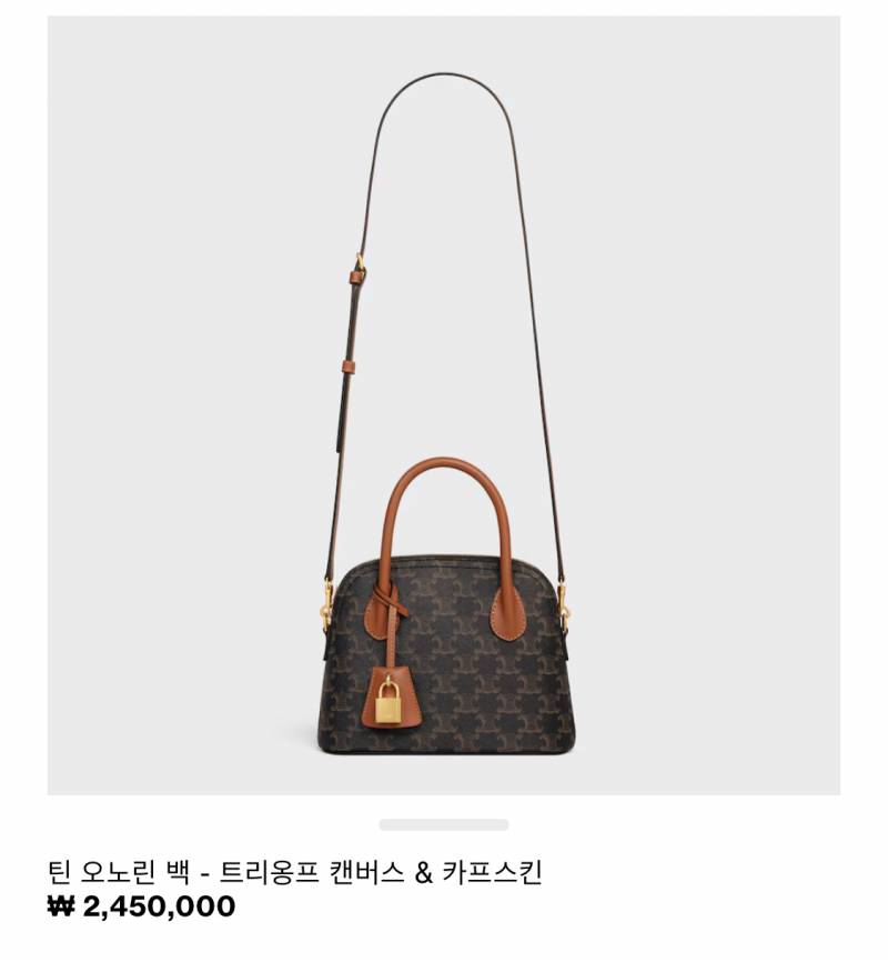 현재 반응 역대급으로 좋다는 셀린느 신상백.JPG | 인스티즈