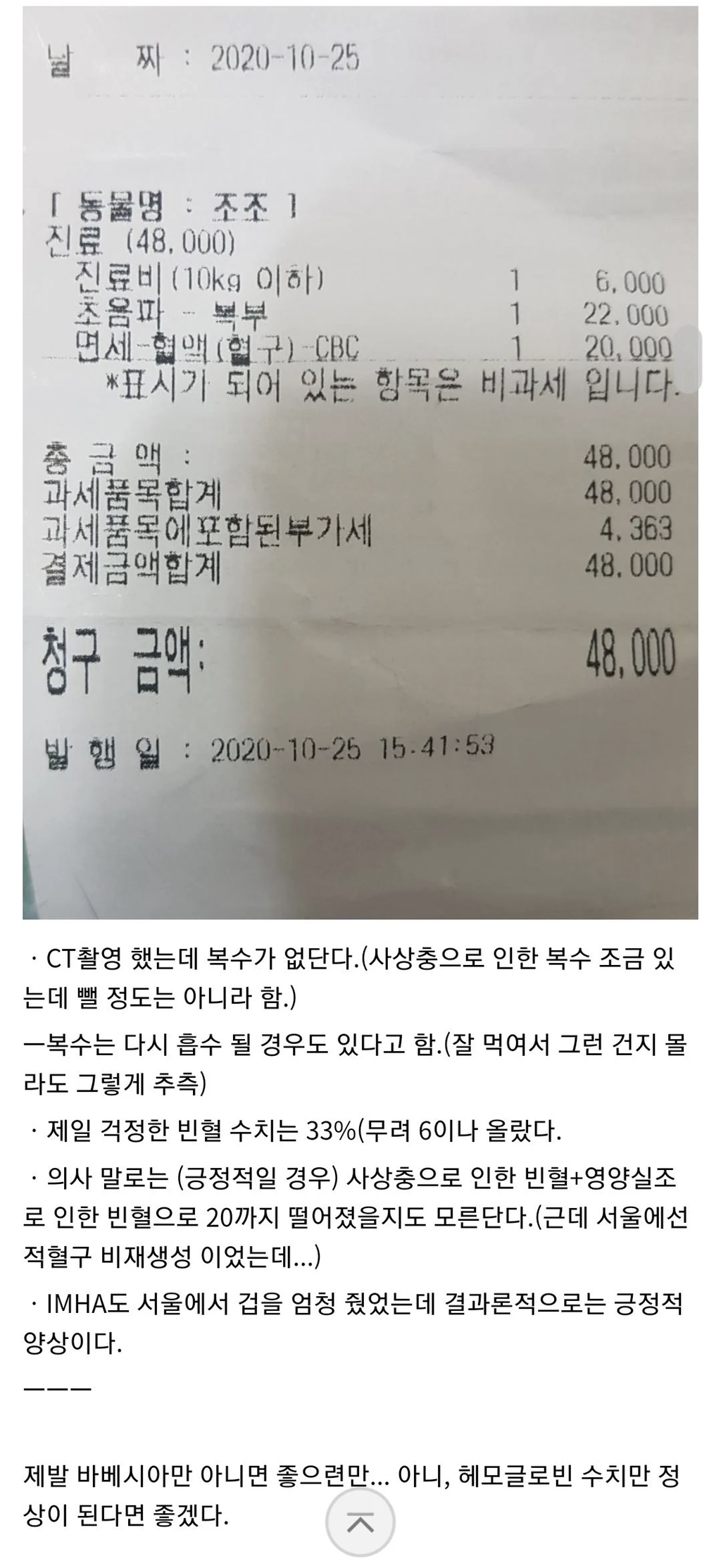 유기견 입양결정후 5일만에 115만원 지출한 멍멍이갤러 | 인스티즈