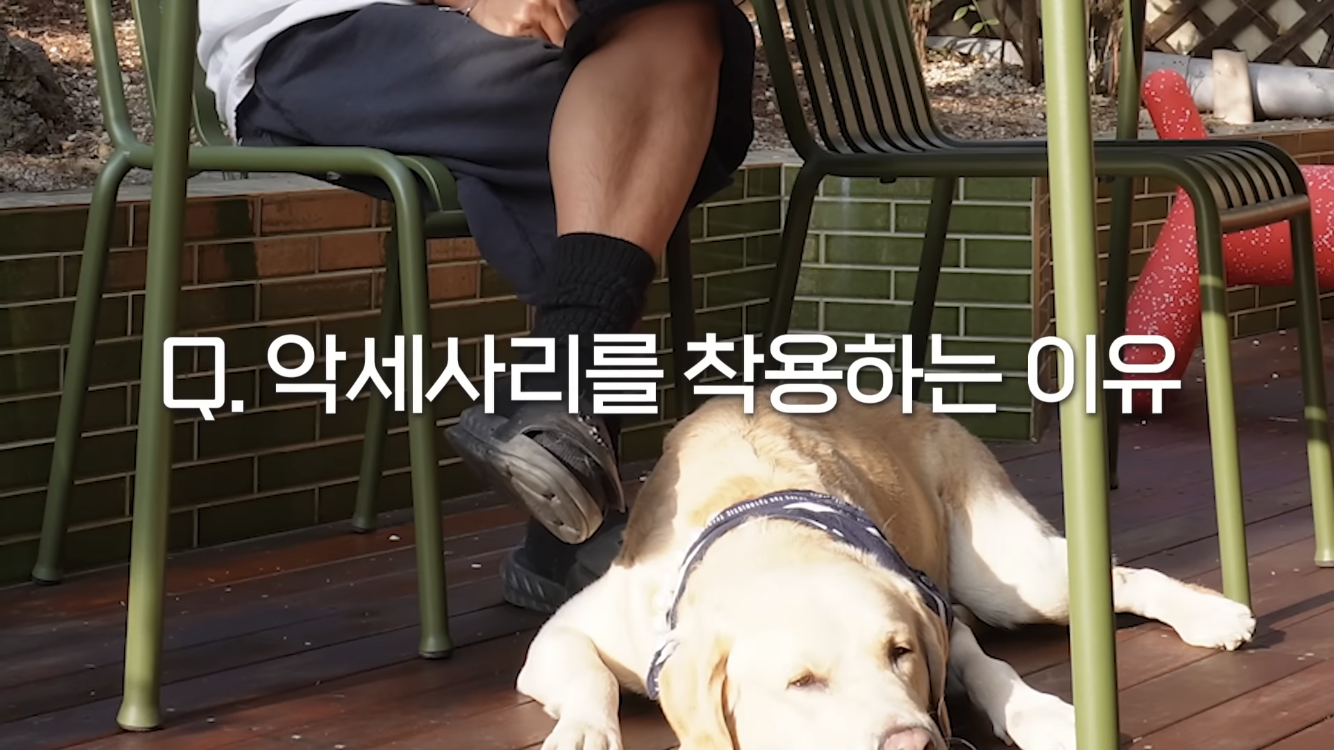 정재형이 리트리버에게 악세사리를 착용해주는 이유 | 인스티즈