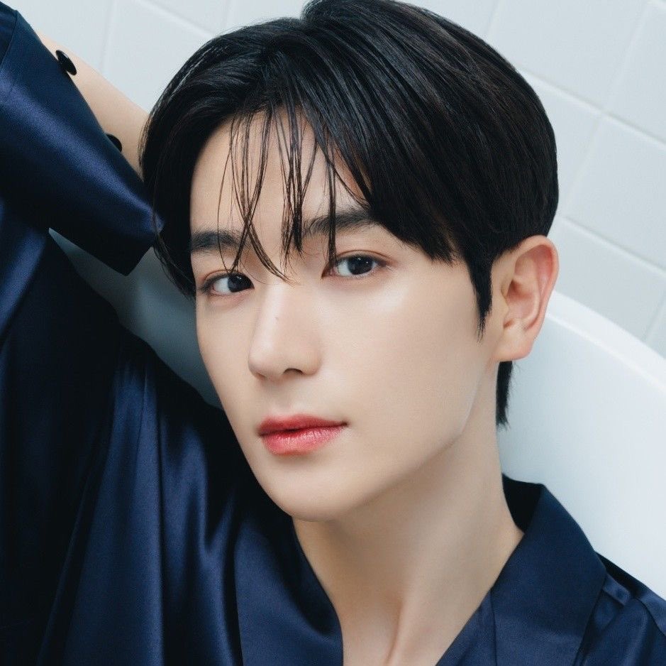 이미지