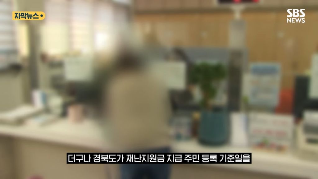 산불 이후 인구가 늘어난 안동 | 인스티즈