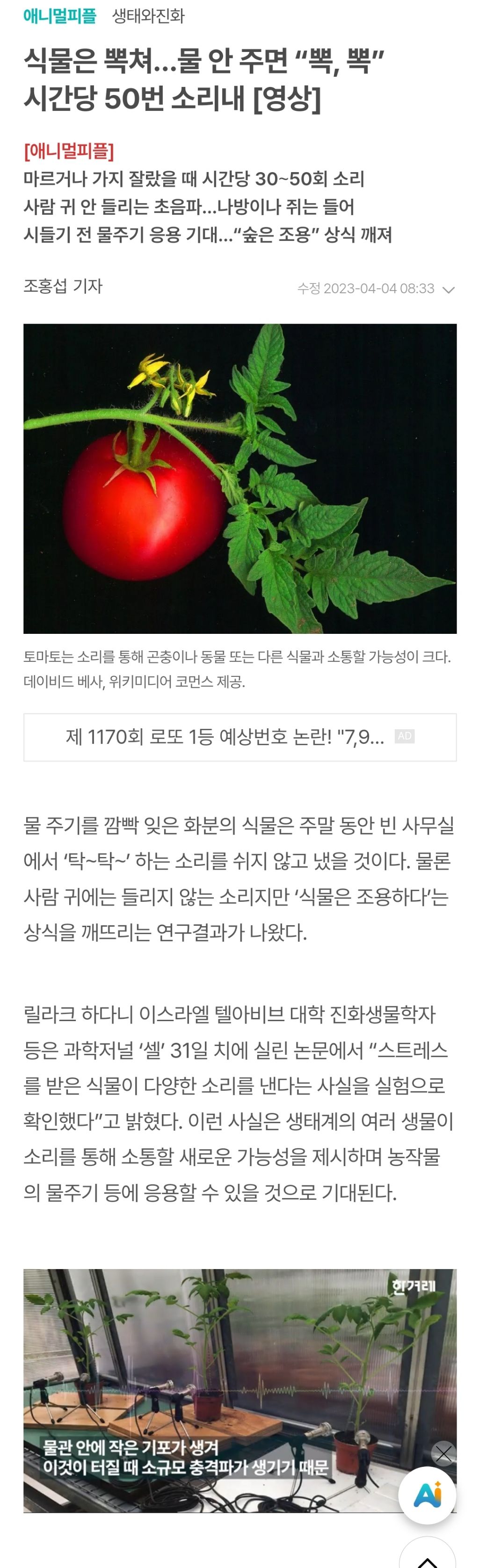 식물은 뽁쳐…물 안 주면 