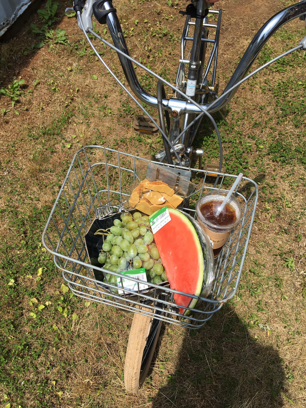 반년동안 모은 자전거 바구니 사진 🚲✨🌿 | 인스티즈