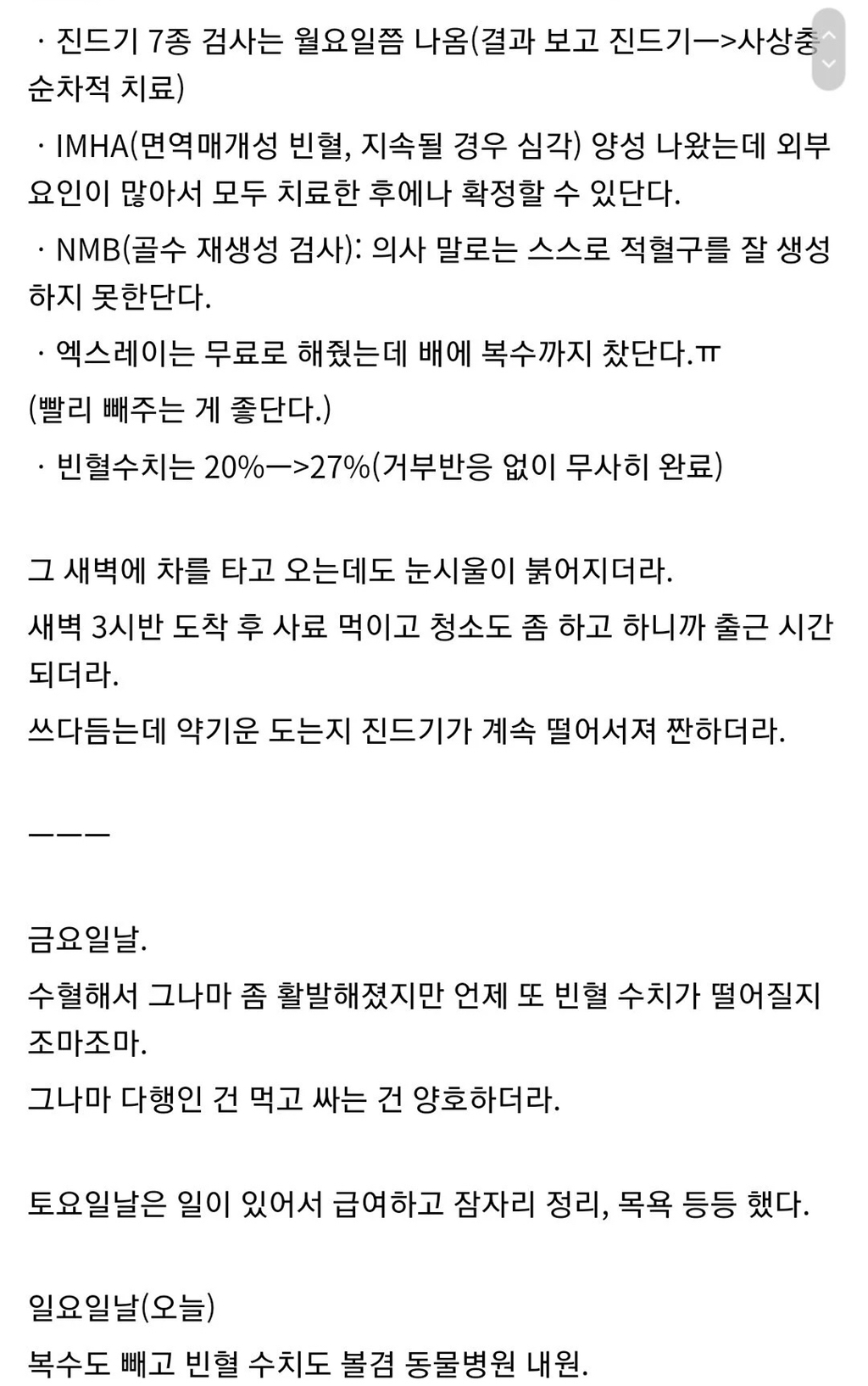 유기견 입양결정후 5일만에 115만원 지출한 멍멍이갤러 | 인스티즈