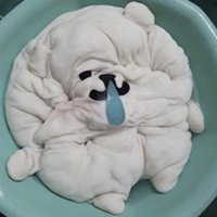 그냥 행복한 순간을 많이 경험하는 삶을 사는 거지.twt | 인스티즈