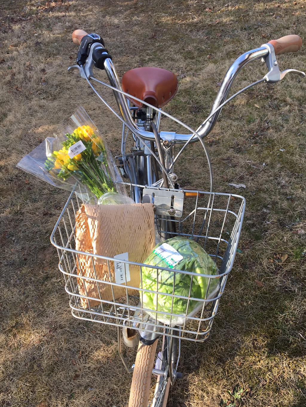 반년동안 모은 자전거 바구니 사진 🚲✨🌿 | 인스티즈