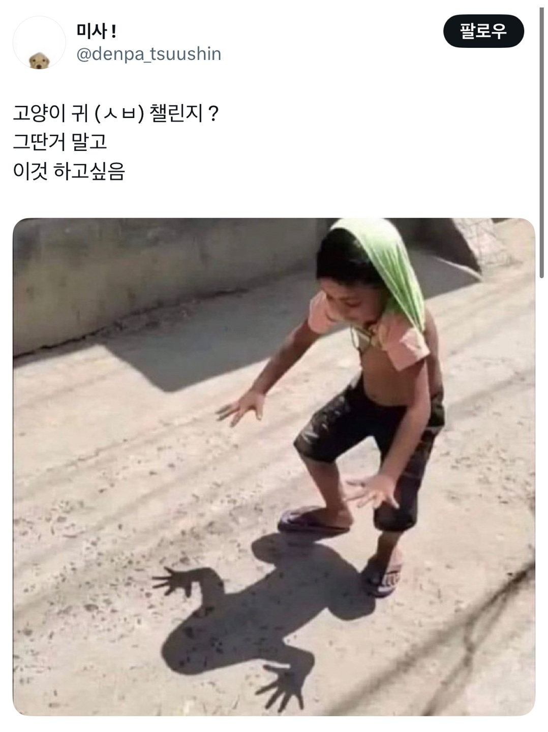 고양이 귀 챌린지 말고 이건 어때? | 인스티즈