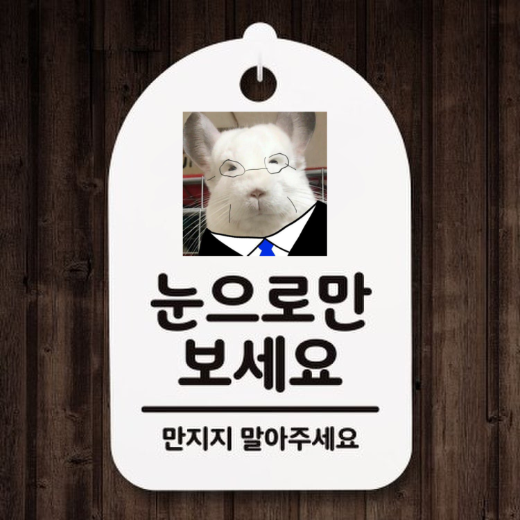 [정치달글 달웃] 부산은 그럼 부리부리특별자치도냐고 | 인스티즈