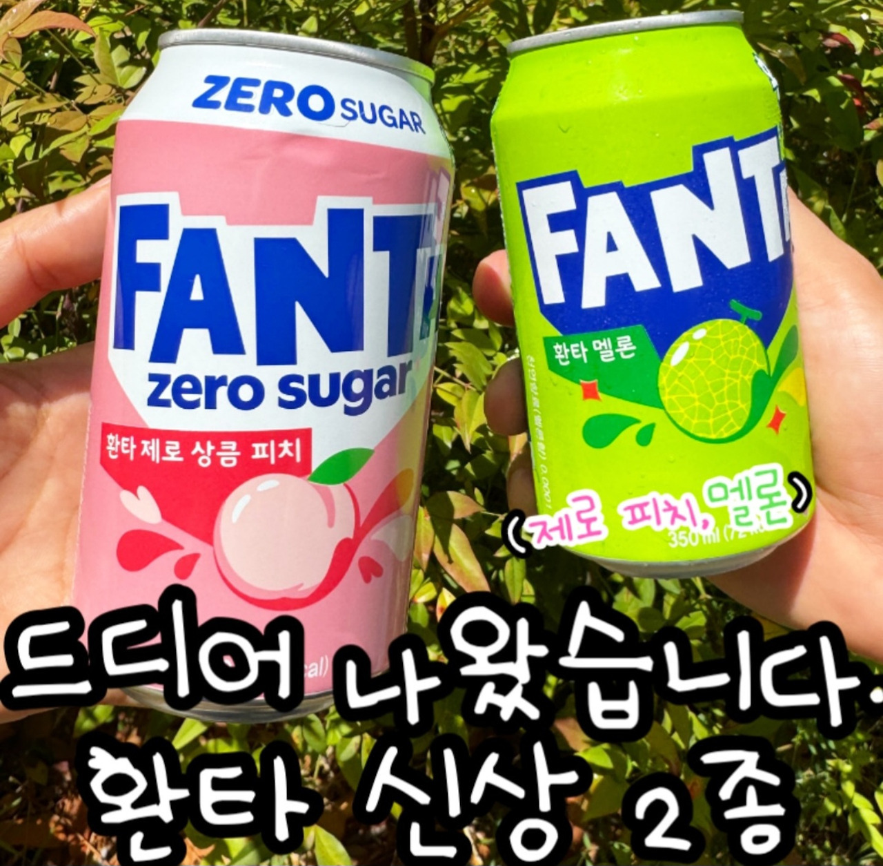 환타 신상 2종 | 인스티즈