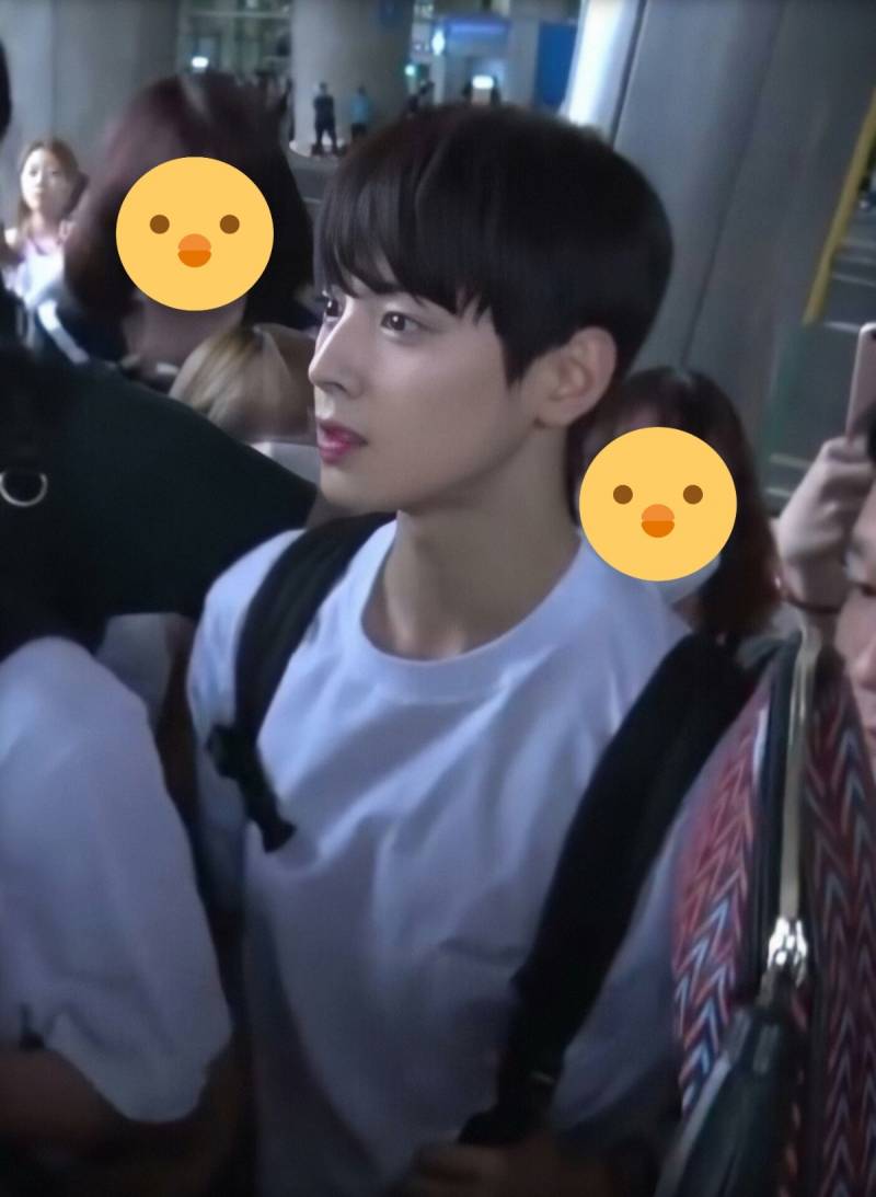 차은우를 실제로 보면 얼굴보다 먼저 보인다는 것.JPG | 인스티즈
