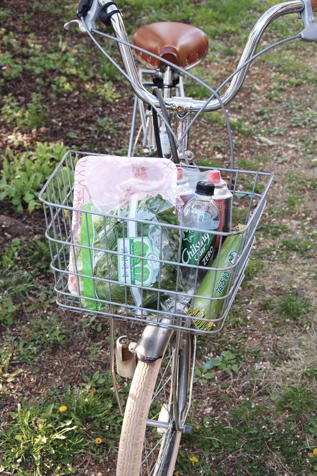 반년동안 모은 자전거 바구니 사진 🚲✨🌿 | 인스티즈