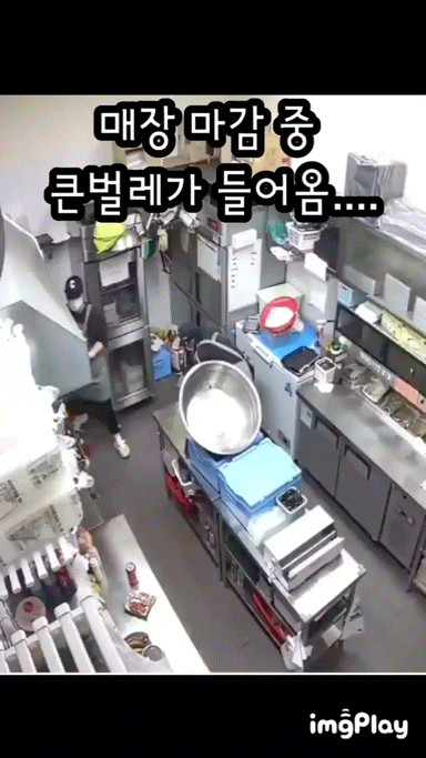 매장 마감중에 벌레가 들어와 사장님을 부름 | 인스티즈
