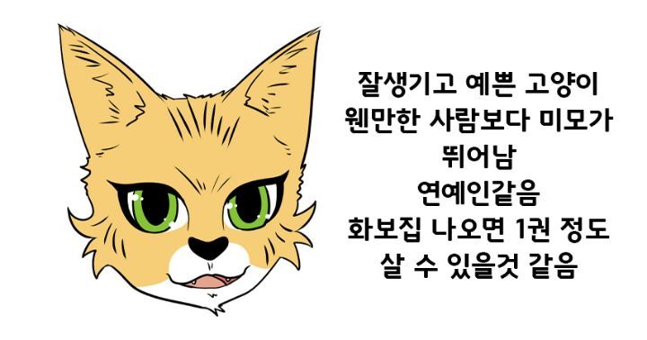 SNS 에서 보는 고양이의 4대 유형 | 인스티즈