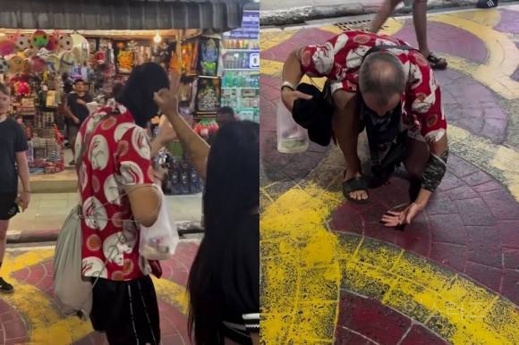 행인 머리에서 바퀴벌레 털어줬더니 되레 화내…'반려벌레'였다