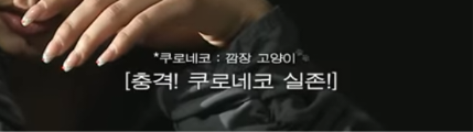 [스우파3] 촌스럽다고 반응 난리난 일본팀 한본어/일본어 자막 | 인스티즈