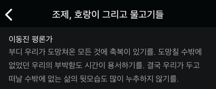 영화보다 더 영화 같다는 영화 한줄평 | 인스티즈