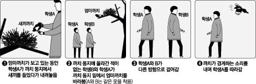 누구든 자기 영역에만 들어오면 눈이 돌아버리는 조류계의 조폭 | 인스티즈