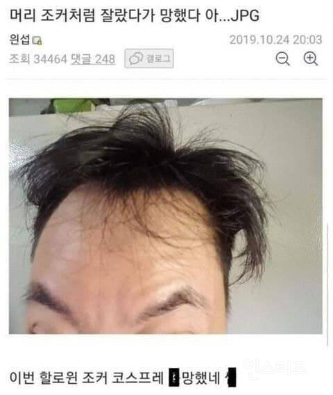 망한 머리 모음