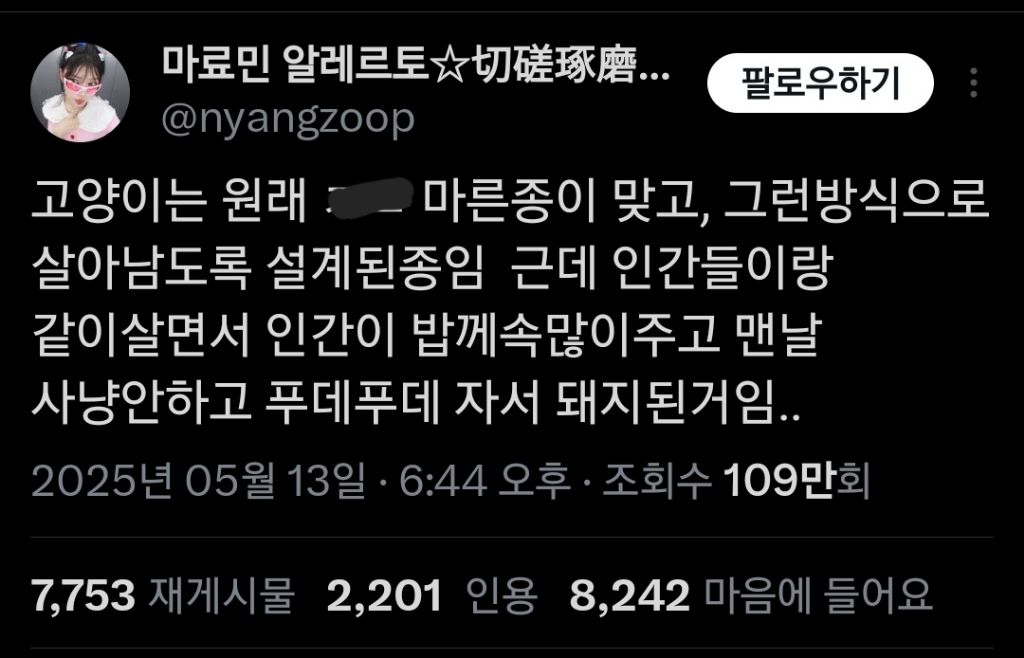 고양이는 원래 마른 종이 맞는데 인간들이랑 같이 살면서...twt | 인스티즈